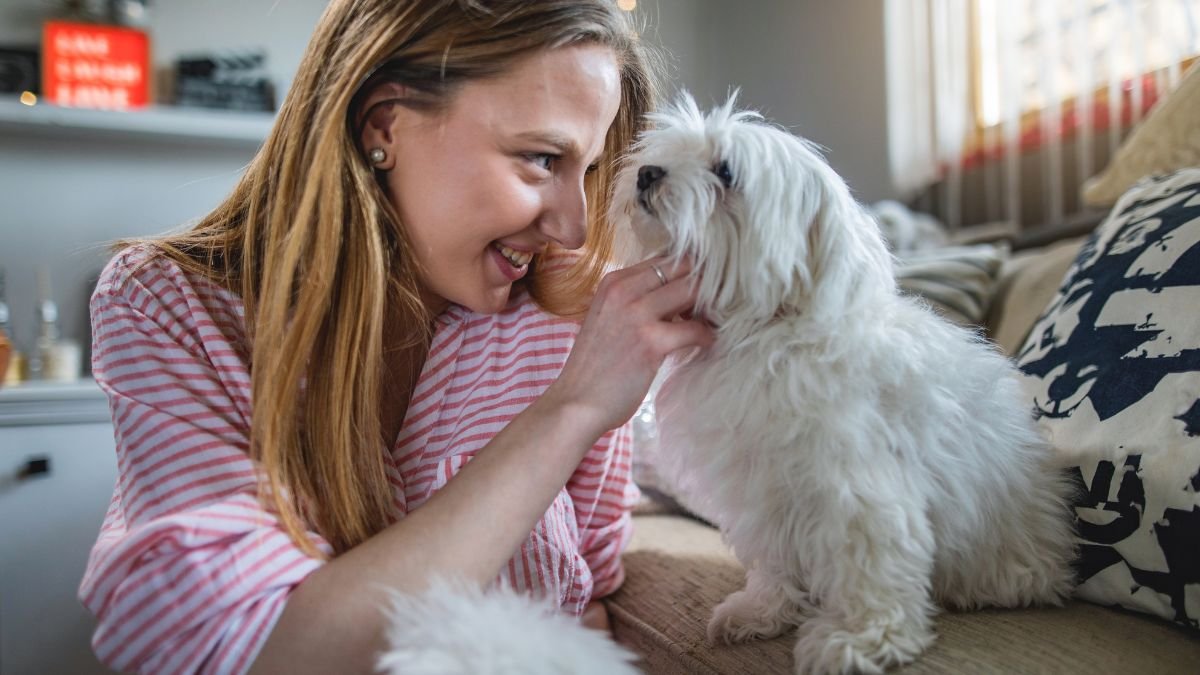 prepare-home-rescue-dog